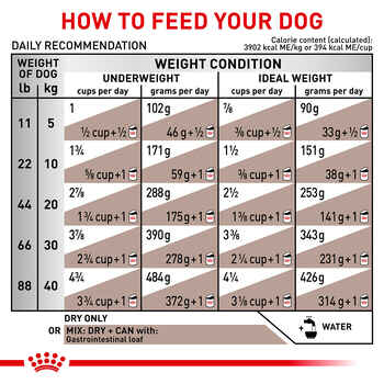 Royal Canin Veterinary Diet Canine Gastrointestinal Dry Dog Food - 8.8 lb Bag
