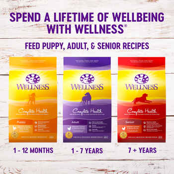 Wellness Complete Chicken Rice Salmon for Puppies 30lbs
