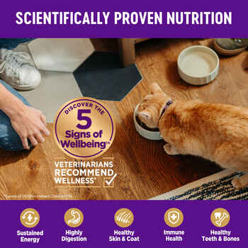 Wellness Complete Health Natural Indoor Deboned Chicken & Chicken Meal Recipe Dry Cat Food - 5 lb Bag