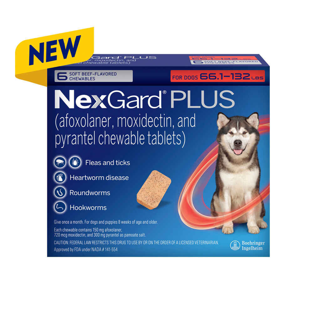 NexGard® PLUS CHEWS For Dogs 66.1 to 132 lbs. (Red Box) 6 Chews (6 Month  Supply)
