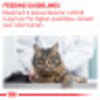 Royal Canin Veterinary Diet Feline Pill Assist Cat Treats - 1.58 oz Pouch