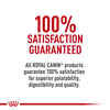 Royal Canin Canine Care Nutrition Joint Care Adult Loaf in Sauce Wet Dog Food - 13.5 oz Cans - Case of 12