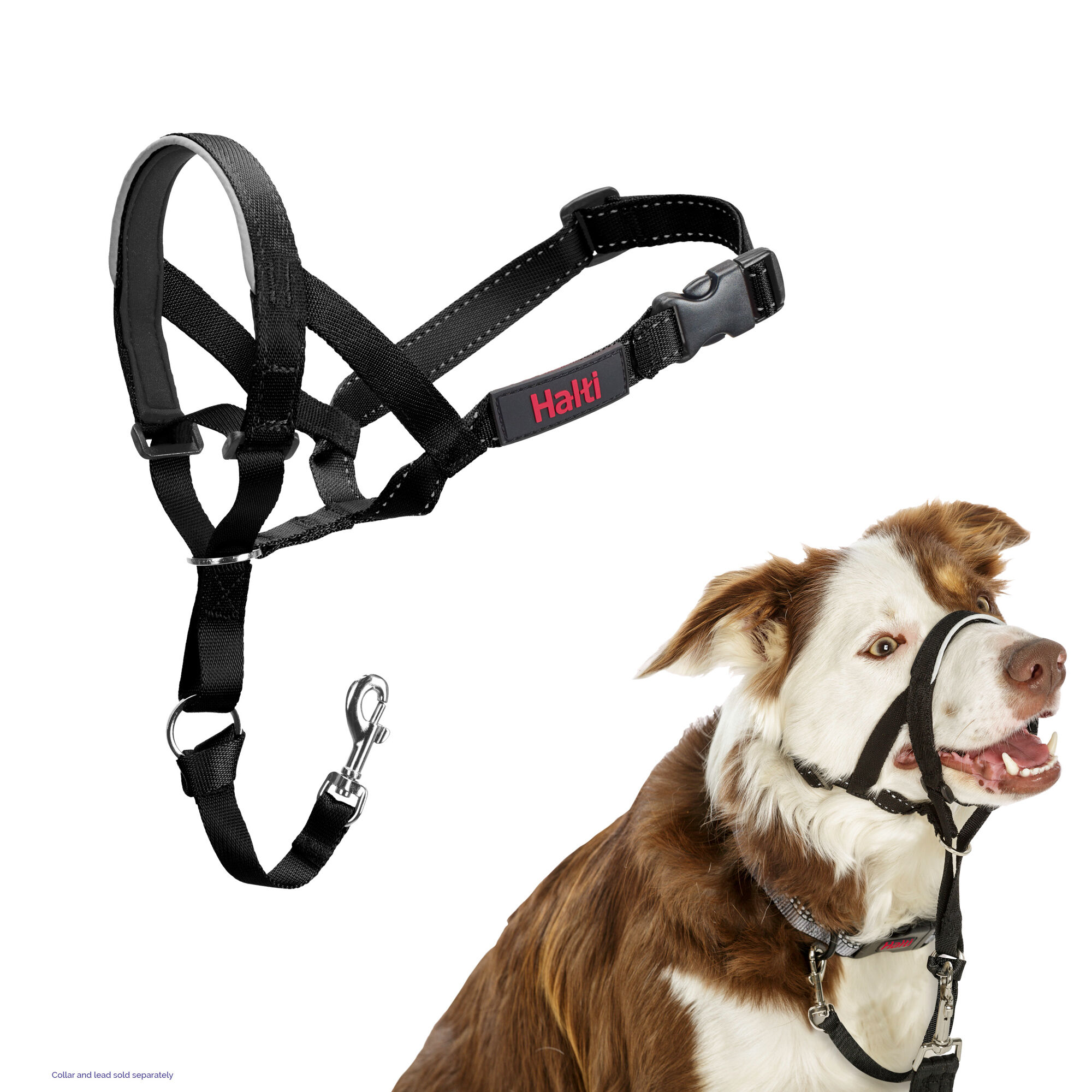 K9 headcollar shop