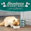 Natural Balance® Original Ultra™ Indoor Chicken Recipe Wet Cat Food 5.5 oz, 24 ct