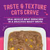 Stella & Chewy's Carnivore Cravings Tuna & Pumpkin Flavored Shredded Wet Cat Food 2.8oz, Case of 24