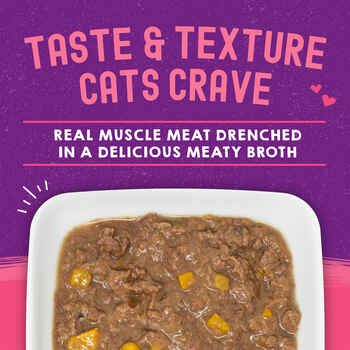Stella & Chewy's Carnivore Cravings Tuna & Pumpkin Flavored Shredded Wet Cat Food 2.8oz, Case of 24