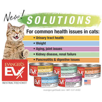 Evangers EVX Restricted Diet Senior & Joint Health Salmon Recipe Wet Cat Food - 5.5oz Cans - Case of 24