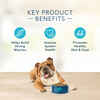 Blue Buffalo BLUE Basics Skin & Stomach Care Grain-Free Turkey & Potato Recipe Adult Dry Dog Food 24 lb Bag