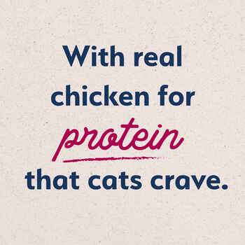 Natural Balance® Original Ultra™ Chicken Meal & Salmon Meal Recipe Dry Cat Food 15 lb