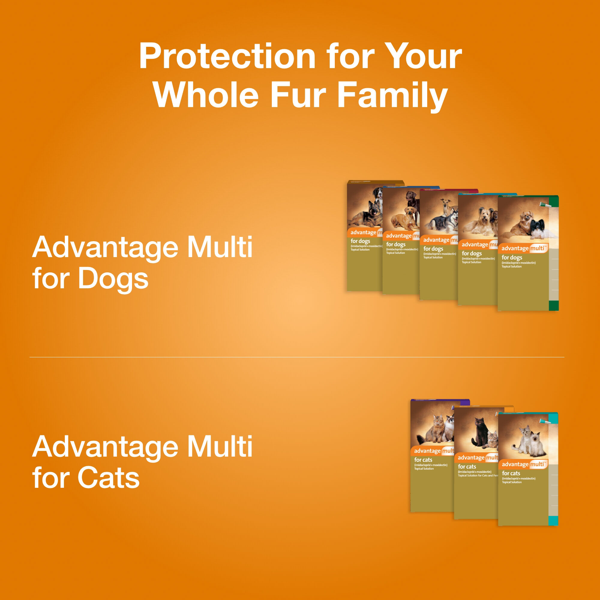 Advantage multi for dogs over cheap 55 lbs