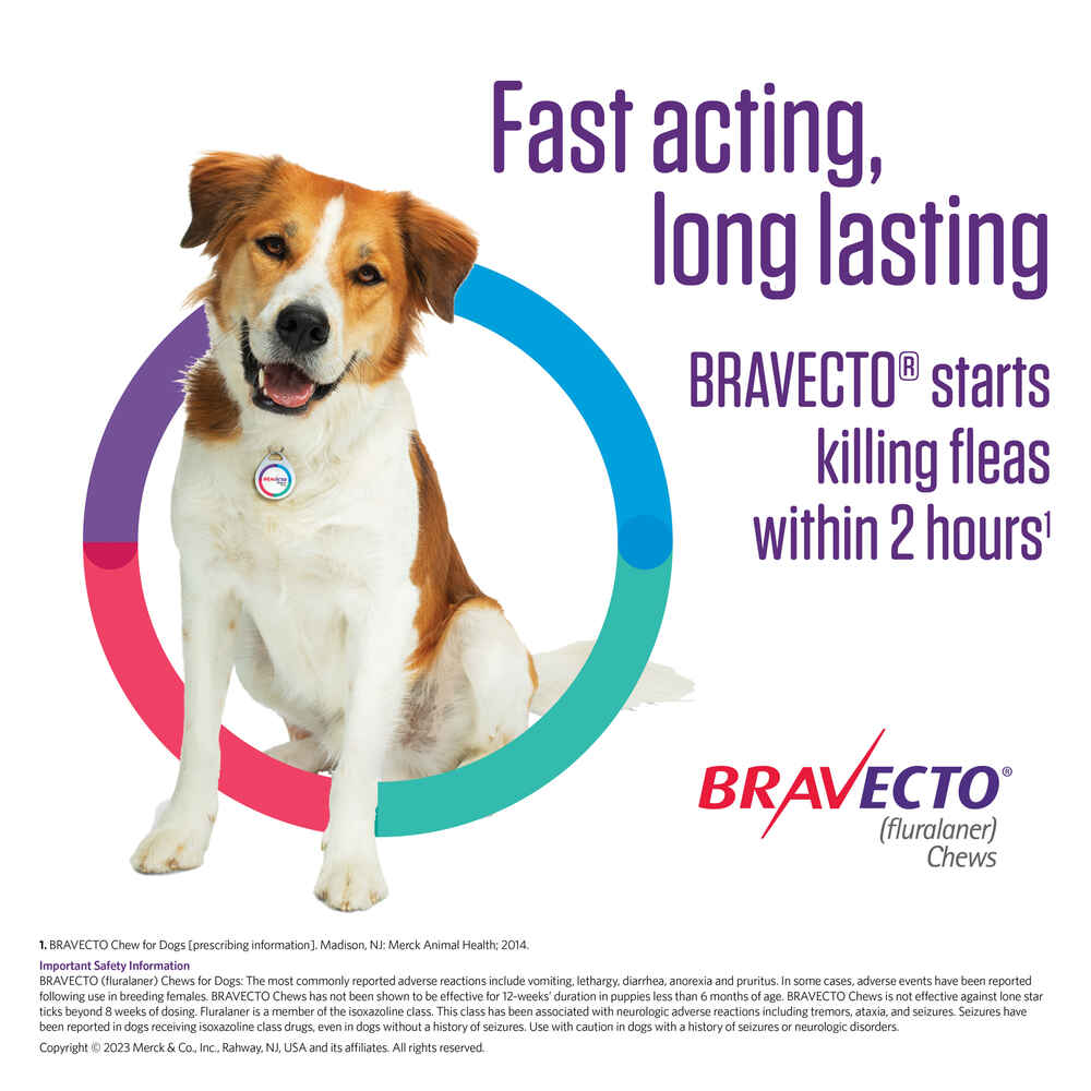 do you need a prescription for bravecto for dogs