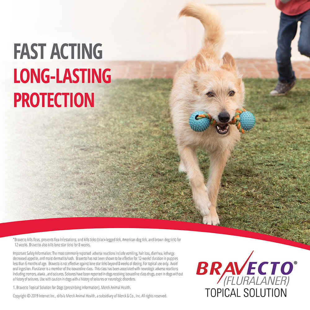 Bravecto Topical For Dogs 1800petmeds
