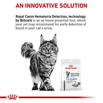 Royal Canin Veterinary Feline Hematuria Detection by Blücare - 0.7 oz Pouches - Pack of 2