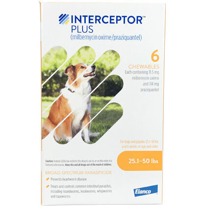 Interceptor plus yellow for clearance dogs