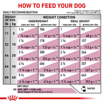 Royal Canin Veterinary Diet Canine Renal Support F Dry Dog Food - 6 lb Bag