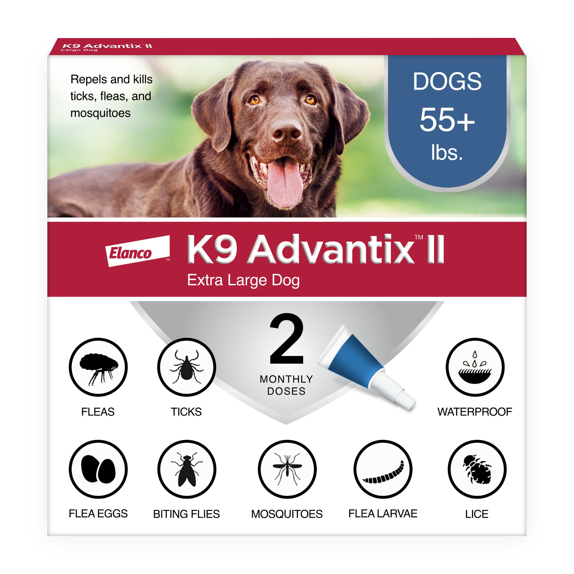 Flea treatment for 4 week old puppies best sale