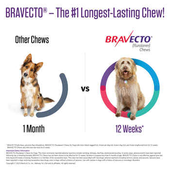 Bravecto Chews for Dogs, 4.4-9.9 lbs, 1 treatment, 112.5 mg Fluralaner