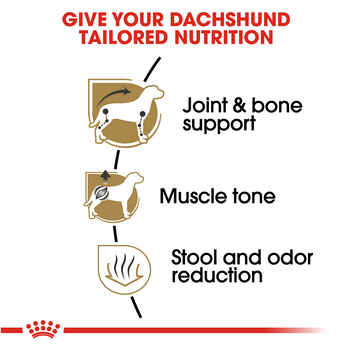 Royal Canin Breed Health Nutrition Dachshund Adult Dry Dog Food - 2.5 lb Bag