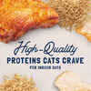 Natural Balance® Original Ultra™ Indoor Chicken Recipe Wet Cat Food 5.5 oz, 24 ct