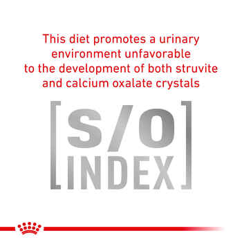 Royal Canin Veterinary Diet Canine Urinary SO Moderate Calorie Thin Slices in Gravy Wet Dog Food - 12.5 oz Cans - Case of 12