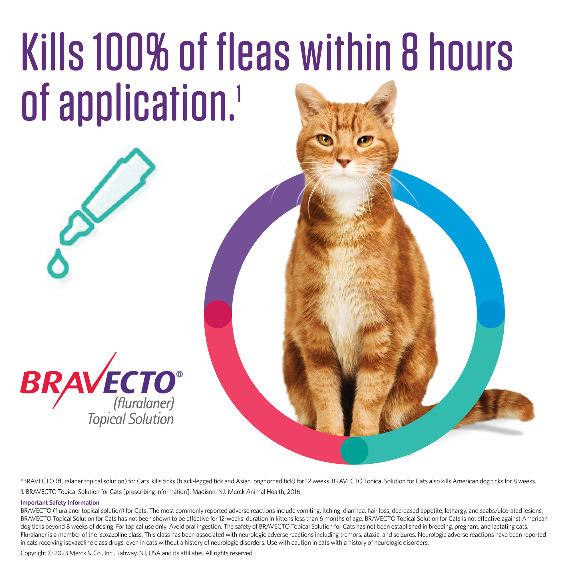 Flea treatment cheap bravecto cats