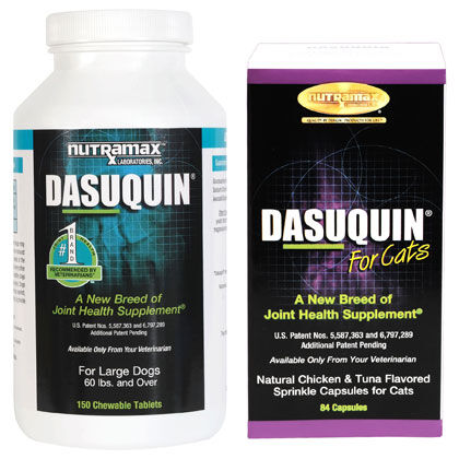 dasuquin chewable tablets for dogs