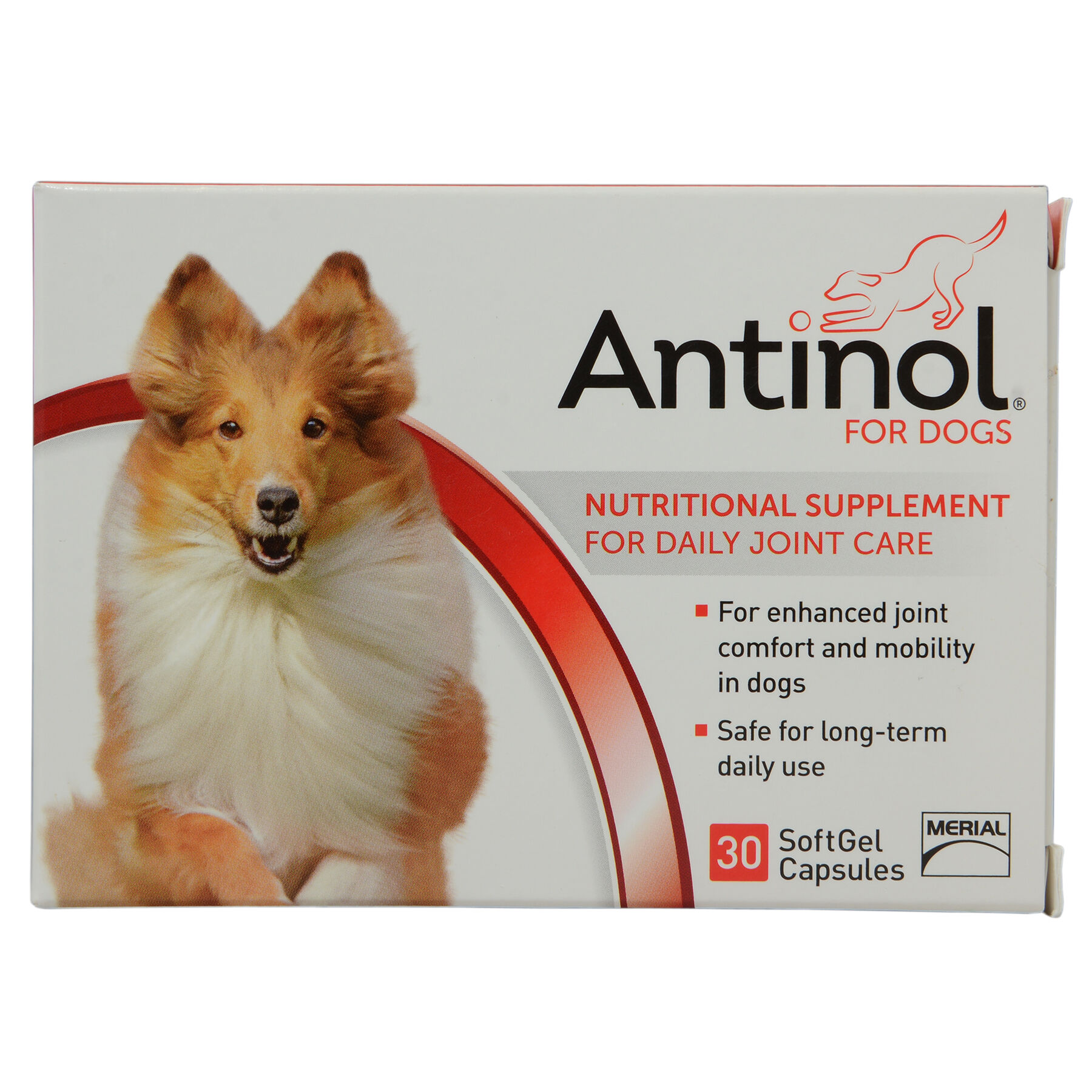 antinol for cats