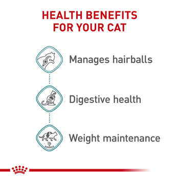 Royal Canin Feline Care Nutrition Hairball Care Thin Slices In Gravy Adult Wet Cat Food - 3 oz Cans - Case of 24