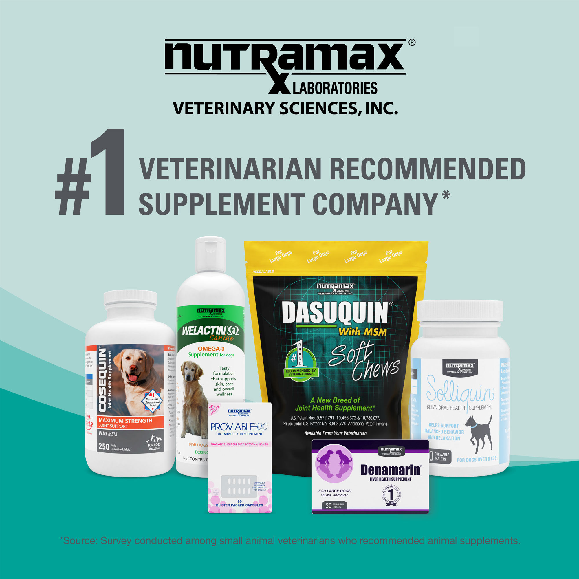Nutramax Dasuquin Joint Health Supplement - With Glucosamine 