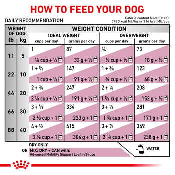 Royal Canin Veterinary Diet Canine Advanced Mobility Support Dry Dog Food - 8.8 lb Bag