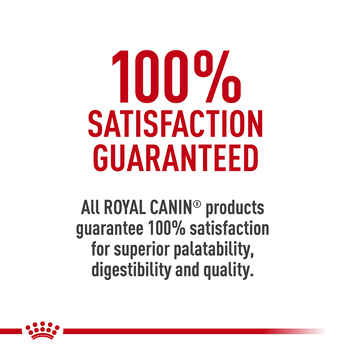 Royal Canin Canine Care Nutrition Large Breed Joint Care Adult Dry Dog Food - 30 lb Bag
