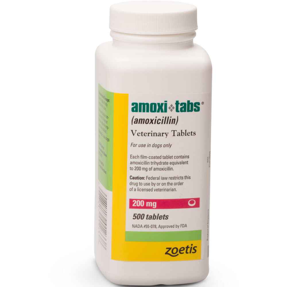 what does amoxicillin treat in dogs