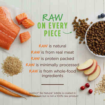 Instinct Be Natural Salmon & Brown Rice Recipe Dry Dog Food - 24 lb Bag