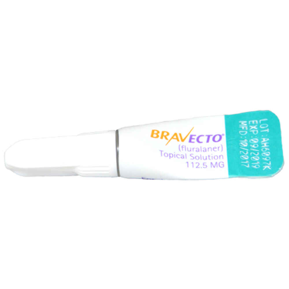Bravecto Topical for Dogs Large Dog 44-88 lbs 1 dose