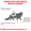 Royal Canin Veterinary Diet Feline Renal Support Early Consult Dry Cat Food - 12 oz Bag