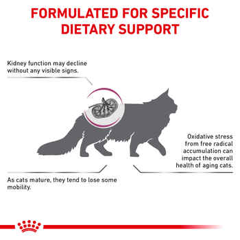 Royal Canin Veterinary Diet Feline Renal Support Early Consult Dry Cat Food - 12 oz Bag