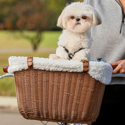 puppy bike basket