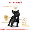 Royal Canin Breed Health Nutrition French Bulldog Adult Dry Dog Food - 6 lb Bag