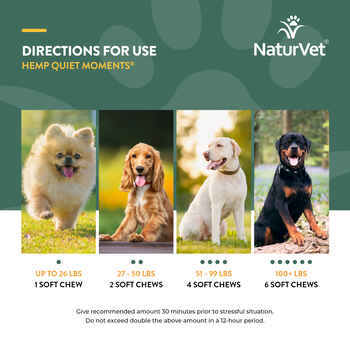 NaturVet Hemp Quiet Moments Calming Aid Soft Chews for Dogs - 60 ct Soft Chews