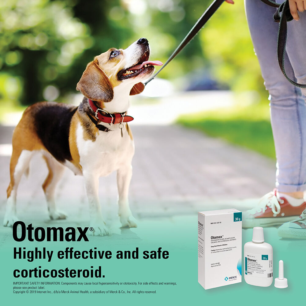 otomax for dogs side effects