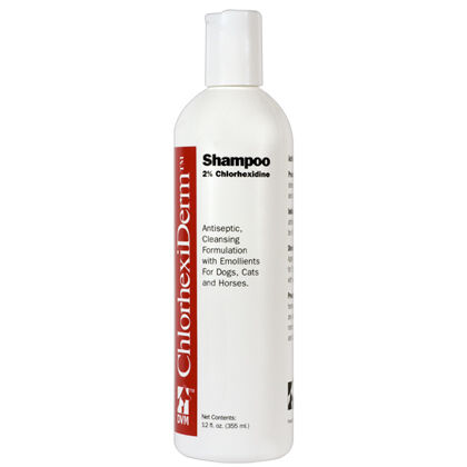 Chlorhexiderm shampoo hotsell