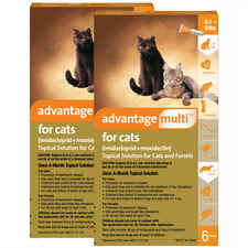 Advantage Multi 12pk Cats 5.1-9 lbs-product-tile