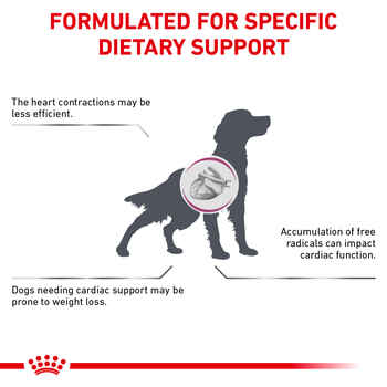 Royal Canin Veterinary Diet Canine Renal Support D Thin Slices in Gravy Wet Dog Food - 13 oz Cans - Case of 24