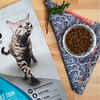 Nulo Freestyle Adult Trim Grain-Free Salmon & Lentils Dry Cat Food 5 lb Bag