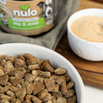 Nulo Functional Powder Hip & Joint Supplement for Dogs 4.2 oz Jar