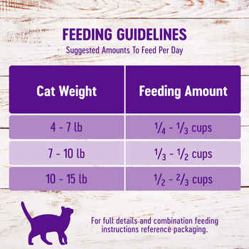 Wellness Complete Health Adult Health Salmon & Salmon Meal Recipe Dry Cat Food 5 lb Bag