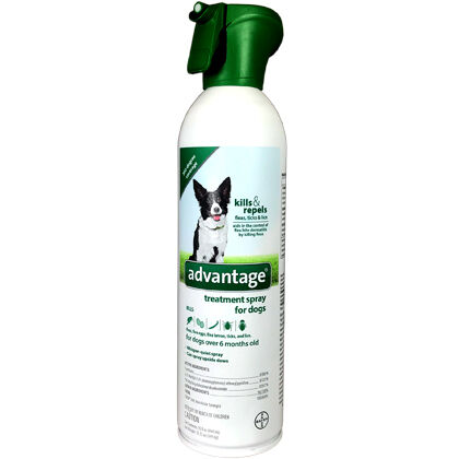 Advantix spray cheap for dogs