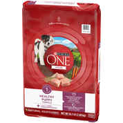 Purina ONE +Plus Healthy Puppy Formula High Protein Natural Chicken Dry Puppy Food