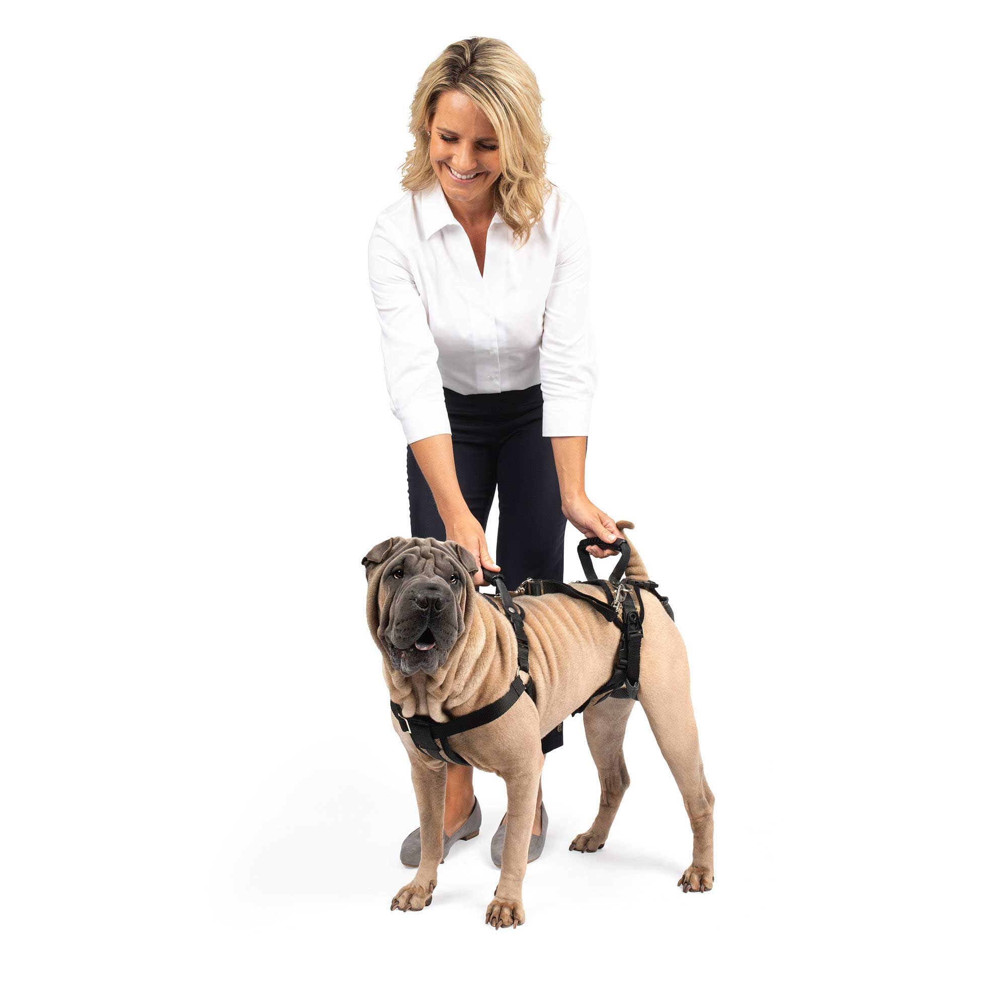 Full body 2025 dog lifting harness