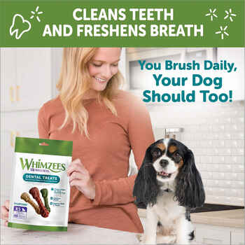 Whimzees by Wellness Brushzees Natural Grain Free Dental Chews for Dogs - Extra Small Breed - 28 count